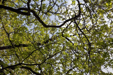 Portmeirion, Gwynedd, Wales, 2022