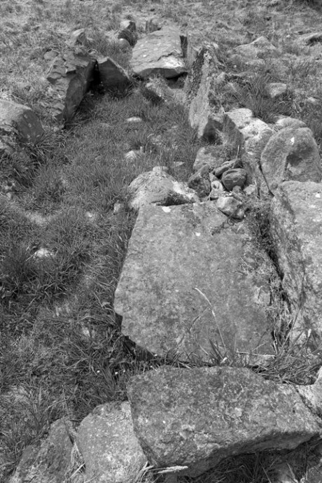 Rockmarshall Court Tomb, Louth, Ireland, 2022