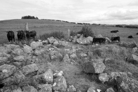 Bocan Stone Circle, Donegal, Ireland, 2022