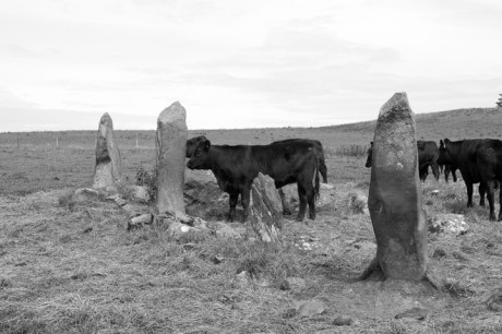 Bocan Stone Circle, Donegal, Ireland, 2022