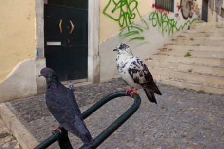 Beco de Sao Luis da Pena, Lisbon, Portugal, 2022