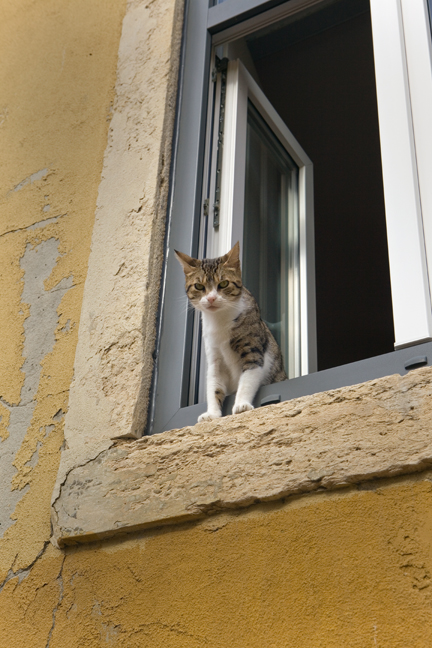Beco de Sao Luis da Pena, Lisbon, Portugal, 2022