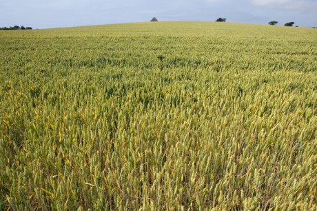 Templetown, Co. Louth, Ireland 2022