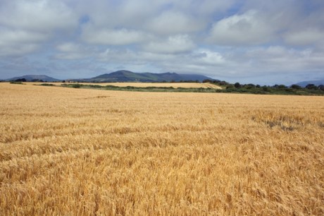 Templetown, Co. Louth, Ireland 2022