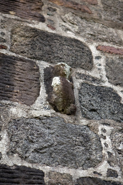 Exhibitionist, Taynuilt, Scotland, 2022