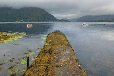 Aird Bay, Taynuilt, Scotland, 2022