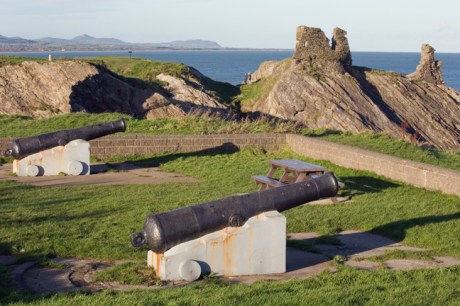 Black Castle, Wicklow, Co. Wicklow, Ireland 2022