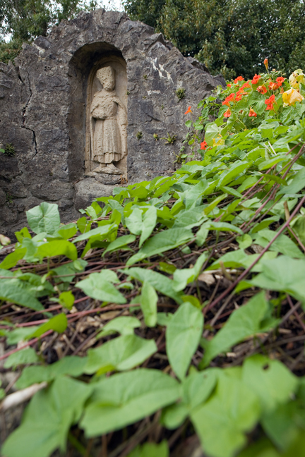 St. Colmcille's Well, Co.Meath, Ireland 2022