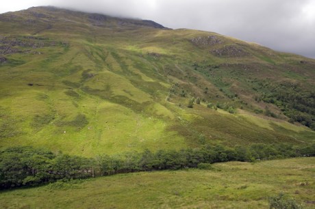 Glen Sheil, Scotland, 2022