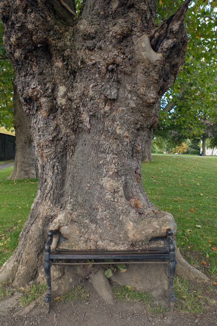 Kings Inn Park, Dublin, Ireland, 2022 =