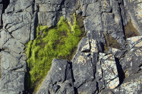 Portrane, Co. Dublin, Ireland 2022