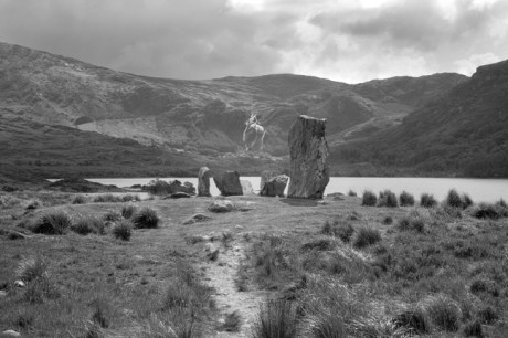 Uragh Stone Circle, Co. Kerry, Ireland 2023