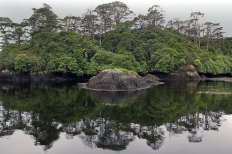 Glengarriff, Co. Cork, Ireland 2023