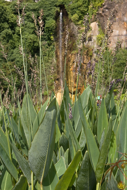 Jardin Extraordinaire, Nantes, France, 2023