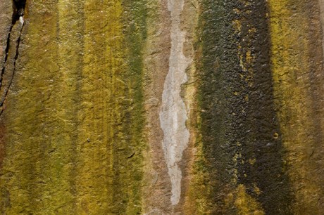 Rue Joseph Cholet, Nantes, France, 2023