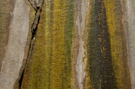 Rue Joseph Cholet, Nantes, France, 2023