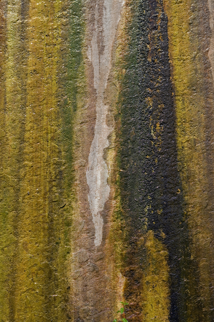 Rue Joseph Cholet, Nantes, France, 2023