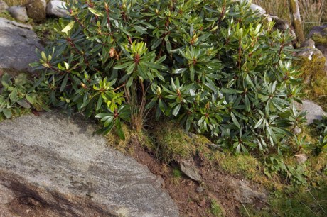 Slievemore, Achill Island, Co. Mayo, Ireland 2023 3