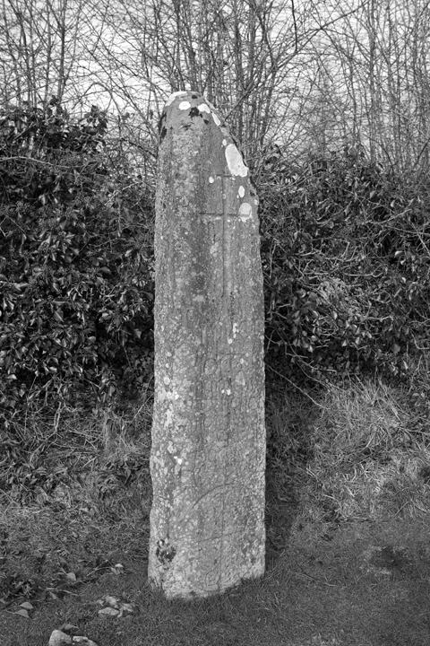 Kilnasaggart Cross Pillar, Armagh, Ireland, 2024