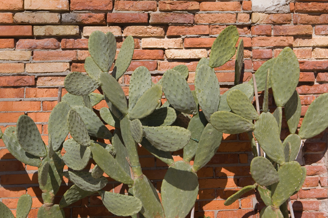Corte Novello, Burano, Venice, Italy, 2024