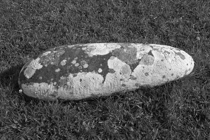 Ballintaggart Ogham Stone, Kerry, Ireland, 2024