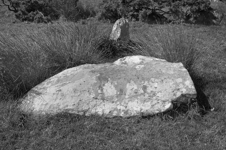Geataí na Glóire, Milltown, Dingle, Kerry, Ireland, 2024