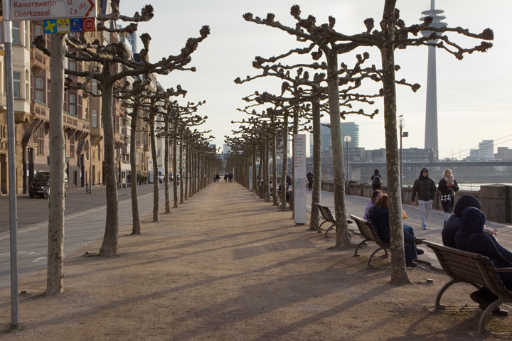 Rheinuferpromenade, Düsseldorf, Germany, February 2025