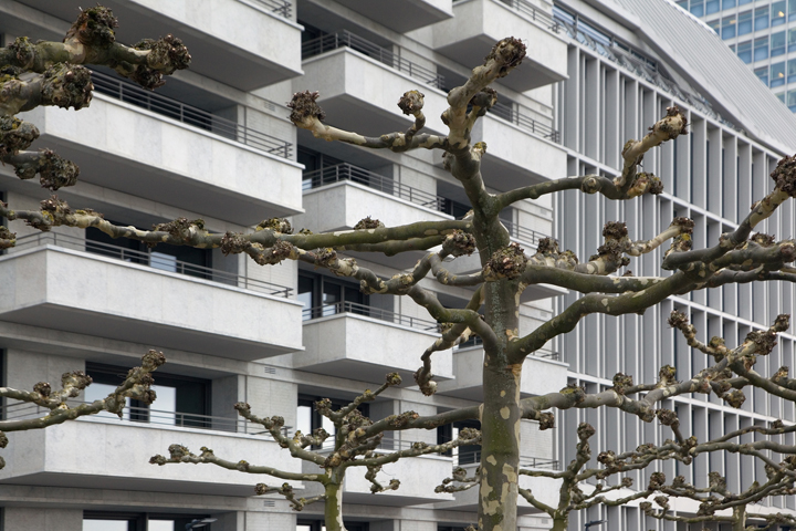 Düsseldorf, Germany, February 2025