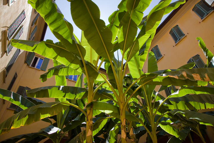 Museo internazionale e biblioteca della musica Bologna, Italy, July 2025