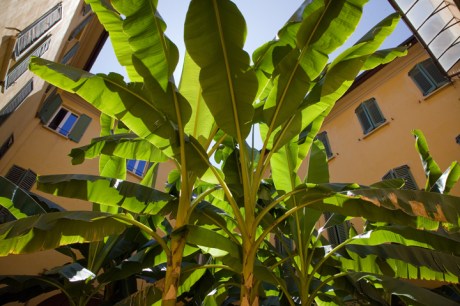 Museo internazionale e biblioteca della musica Bologna, Italy, July 2025