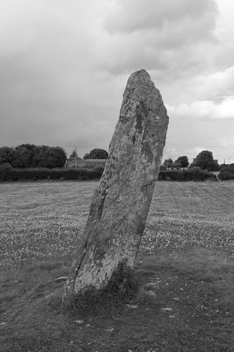 Clochfarmore, Louth, Ireland 2025