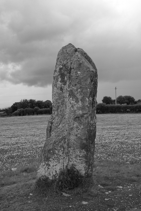 Clochfarmore, Louth, Ireland 2025