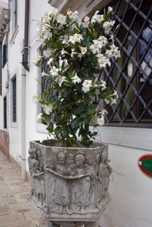 Fondamenta Gasparo Contarini, Venice, Italy, 2024