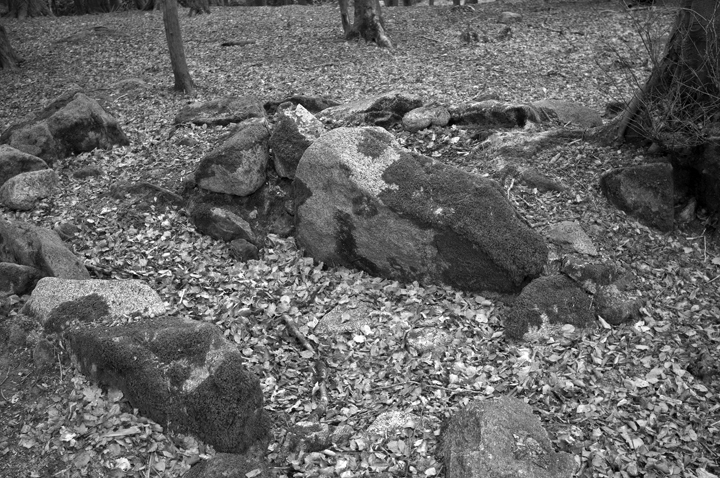 Kilakee Wedge Tomb, Dublin, Ireland 2025