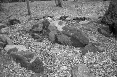 Kilakee Wedge Tomb, Dublin, Ireland 2025