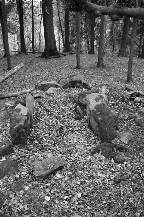 Kilakee Wedge Tomb, Dublin, Ireland 2025