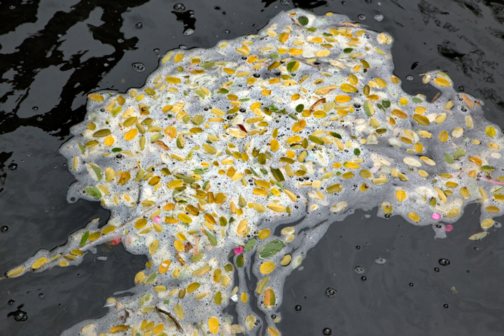 Canal Street, Manchester, England, July 2025