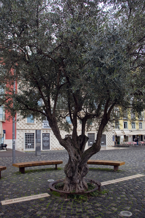 Rua dos Bacalhoeiros, Lisbon, Portugal, January 2026