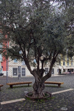 Rua dos Bacalhoeiros, Lisbon, Portugal, January 2026