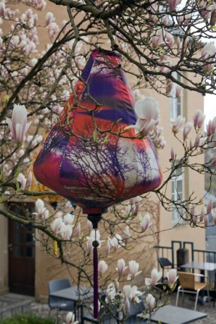 Rue du Saint Esprit, Luxembourg, March 2026