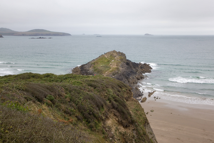 Trwyn Harddyn, St David's, Wales, July 2026