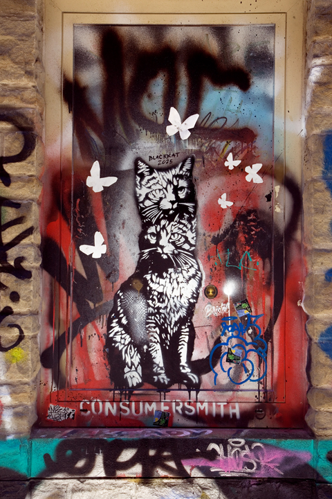Leonard Lane, Bristol, England, July 2026