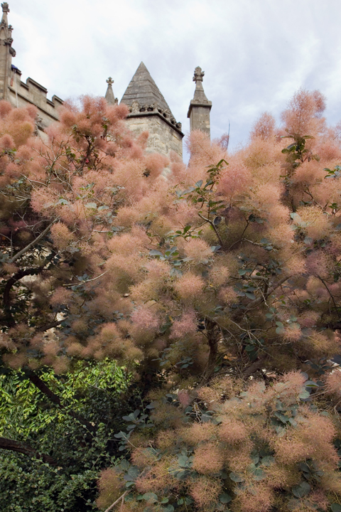 Bristol Cathedral, Bristol, England, July 2026