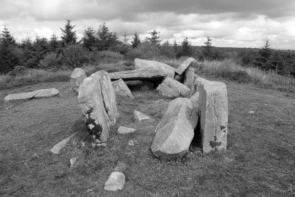 Tullygobban Wedge Tomb, Cavan Burren, Ireland, 2026