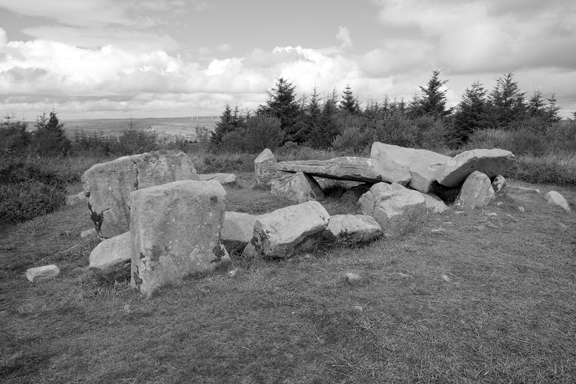 Tullygobban Wedge Tomb, Cavan Burren, Ireland, 2026