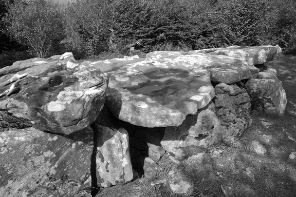The Giants Leap, Cavan Burren, Ireland, 2026