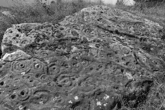 Reyfad Petroglyphs, Fermanagh, Ireland, 2026