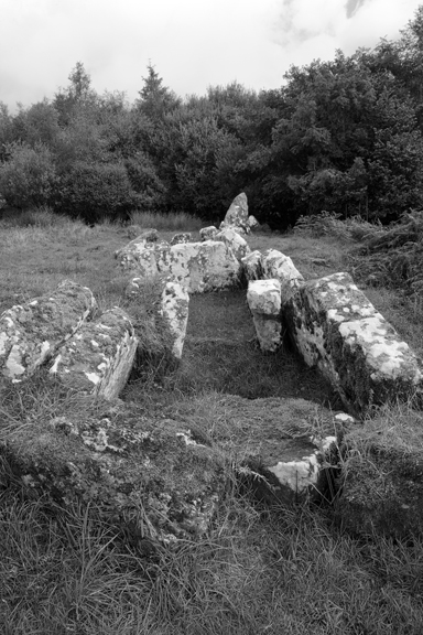 Aghanaglack, Fermanagh, Ireland, 2026