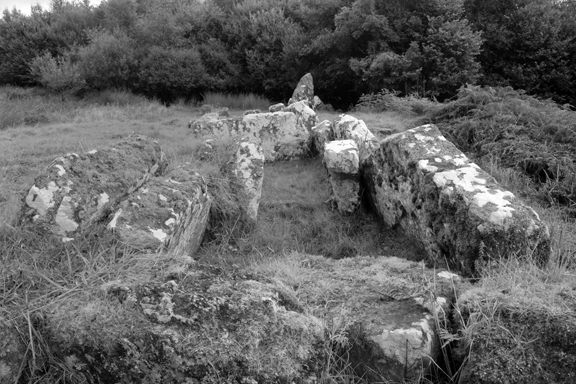 Aghanaglack, Fermanagh, Ireland, 2026