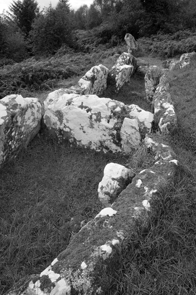 Aghanaglack, Fermanagh, Ireland, 2026